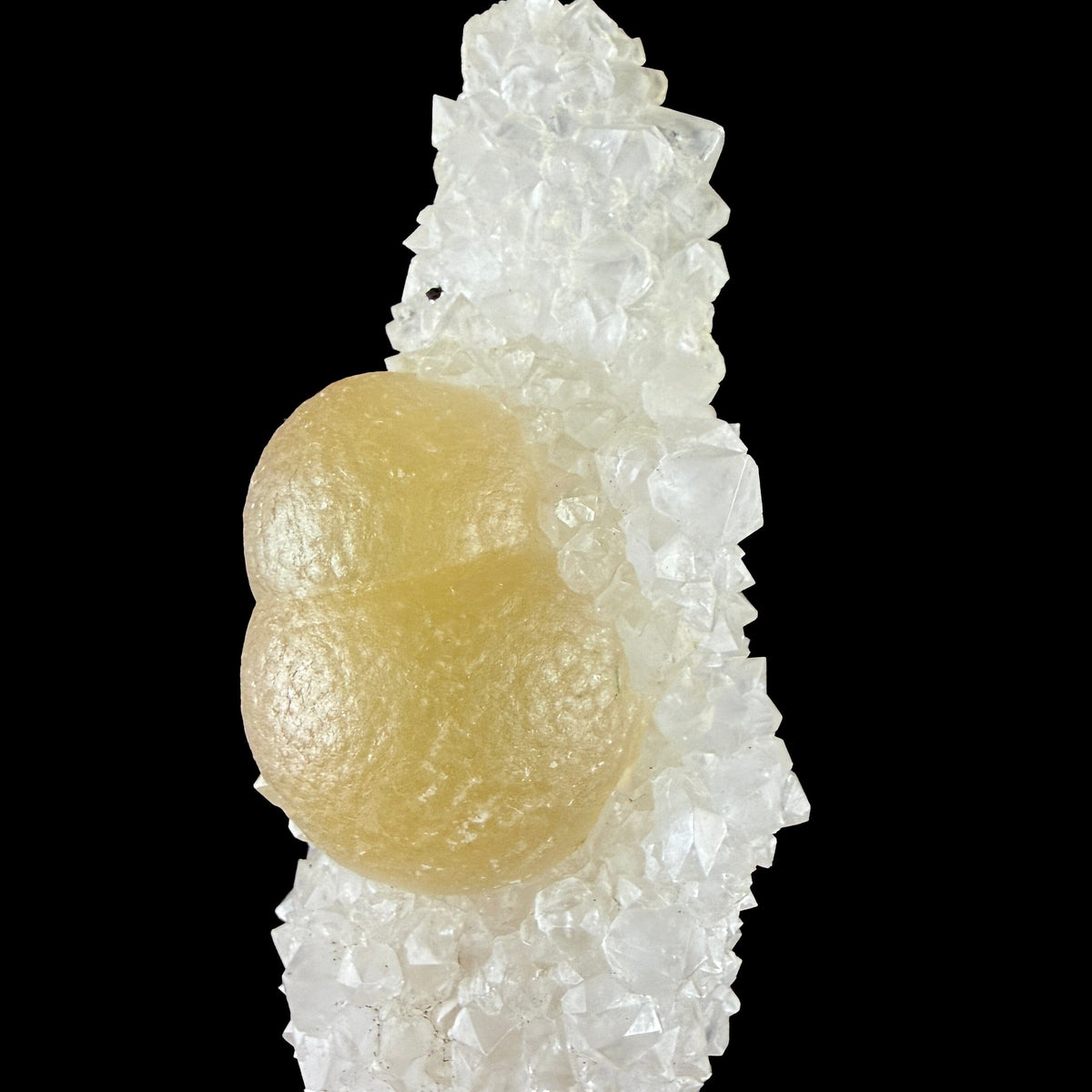 Yellow Botryoidal Fluorite Spheres on Sparkling Quartz - Collector’s Cabinet Specimen from Madhya Pradesh # DKT168 Fluorite Superb Minerals 