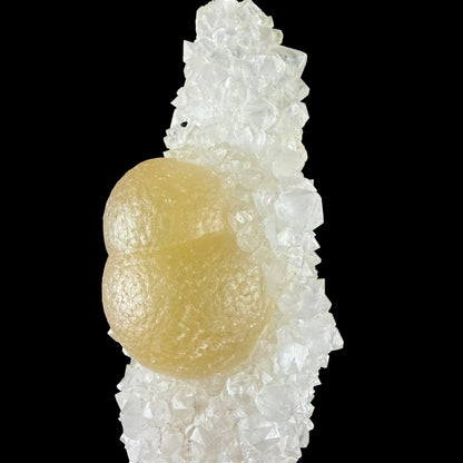 Yellow Botryoidal Fluorite Spheres on Sparkling Quartz - Collector’s Cabinet Specimen from Madhya Pradesh # DKT168 Fluorite Superb Minerals 