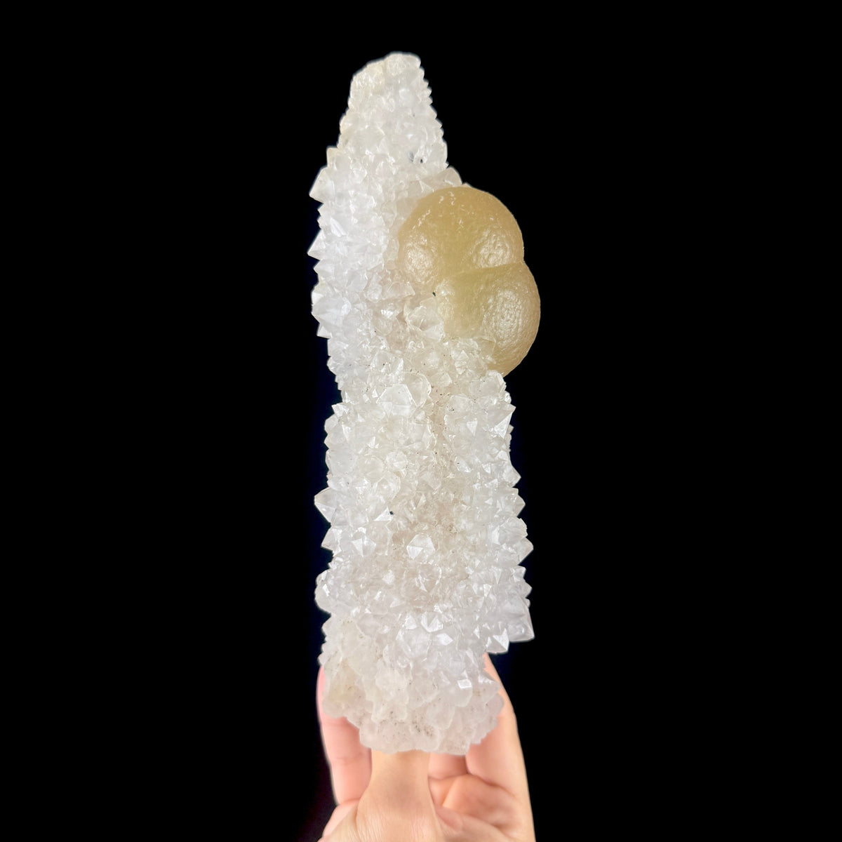 Yellow Botryoidal Fluorite Spheres on Sparkling Quartz - Collector’s Cabinet Specimen from Madhya Pradesh # DKT168 Fluorite Superb Minerals 