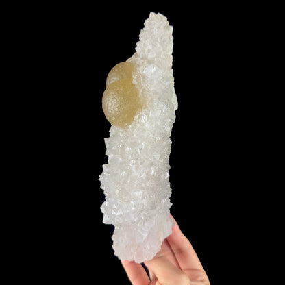 Yellow Botryoidal Fluorite Spheres on Sparkling Quartz - Collector’s Cabinet Specimen from Madhya Pradesh # DKT168 Fluorite Superb Minerals 