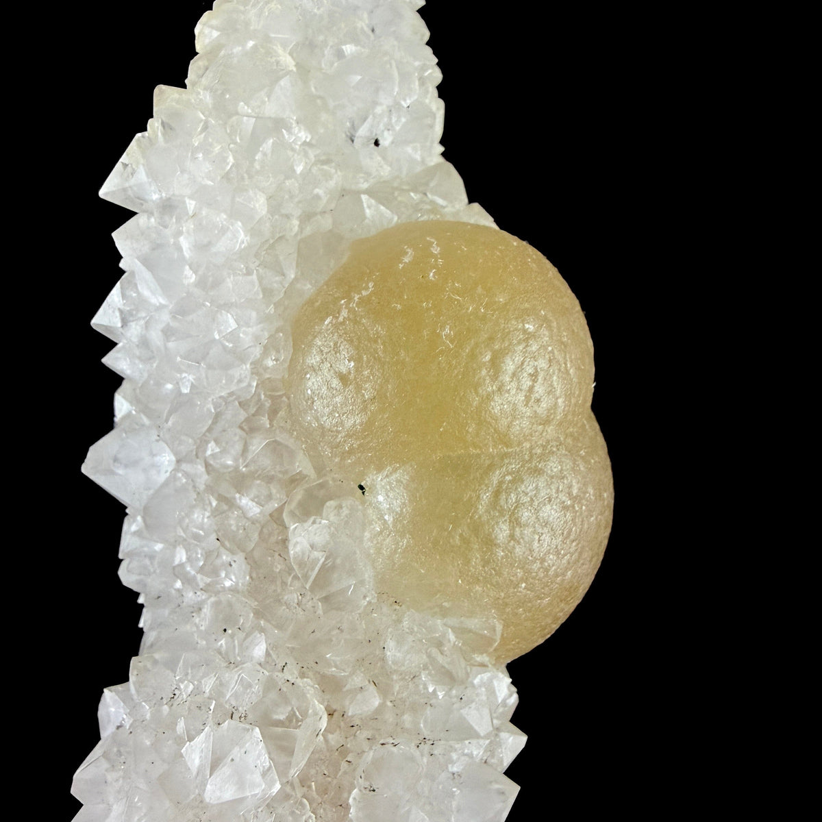 Yellow Botryoidal Fluorite Spheres on Sparkling Quartz - Collector’s Cabinet Specimen from Madhya Pradesh # DKT168 Fluorite Superb Minerals 