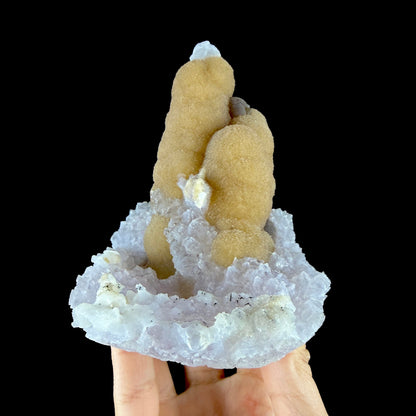 Yellow Botryoidal Fluorite Stalactite on Amethyst Matrix - Rare Collector’s Specimen from Madhya Pradesh # DKT163 Fluorite Superb Minerals 