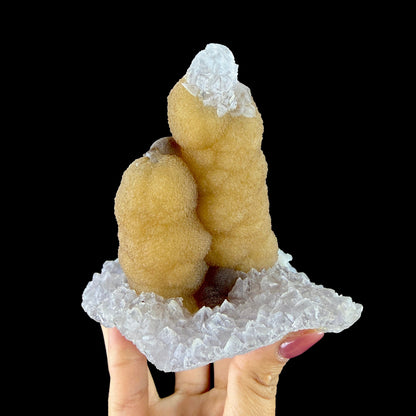 Yellow Botryoidal Fluorite Stalactite on Amethyst Matrix - Rare Collector’s Specimen from Madhya Pradesh # DKT163 Fluorite Superb Minerals 