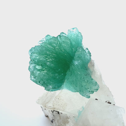 Apophyllite & Calcite DK87