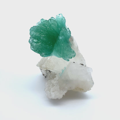 Apophyllite & Calcite DK87