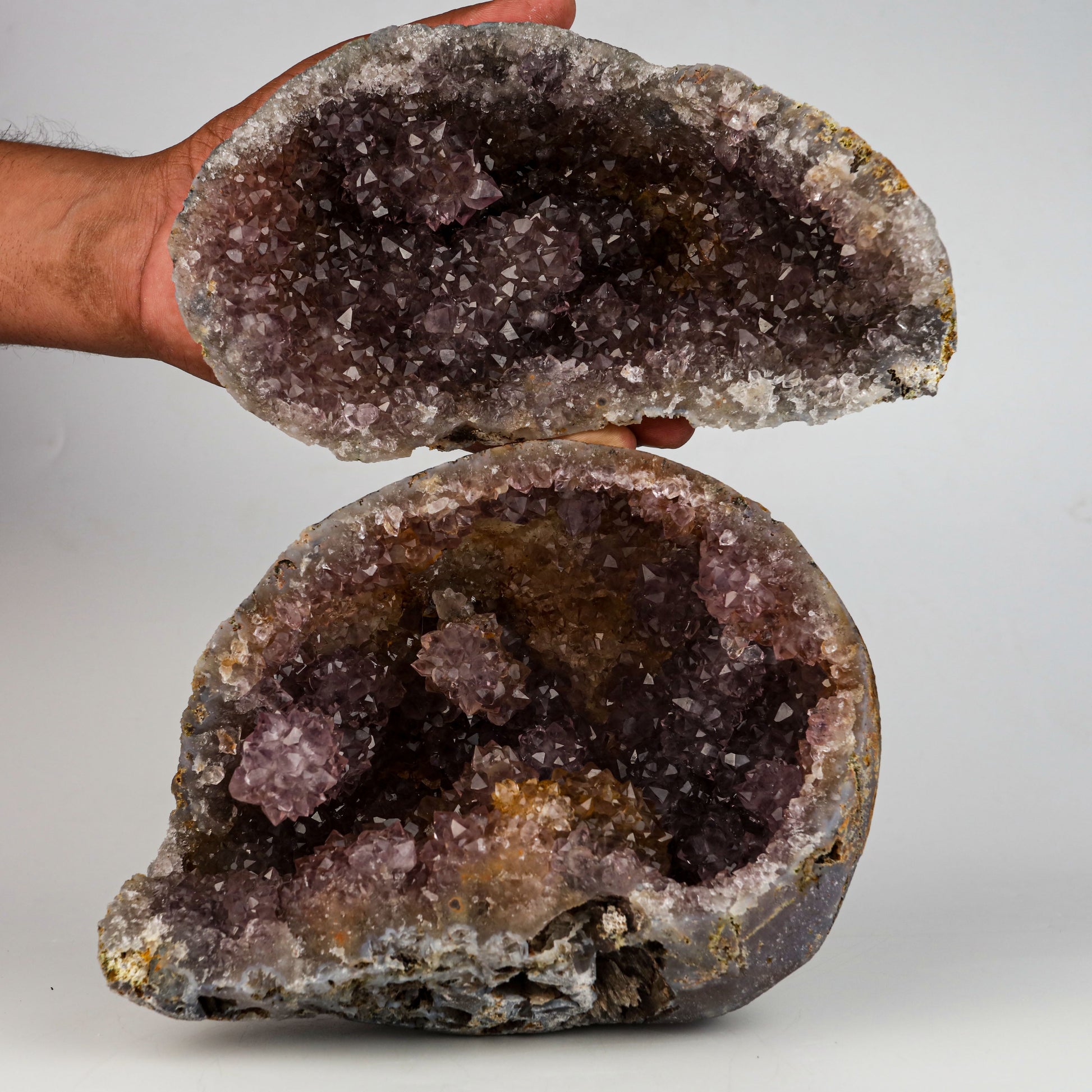 Amethyst Purple Crystals Geode (2 Halves ) Natural Mineral Specimen # B 5004 Amethyst Superb Minerals 