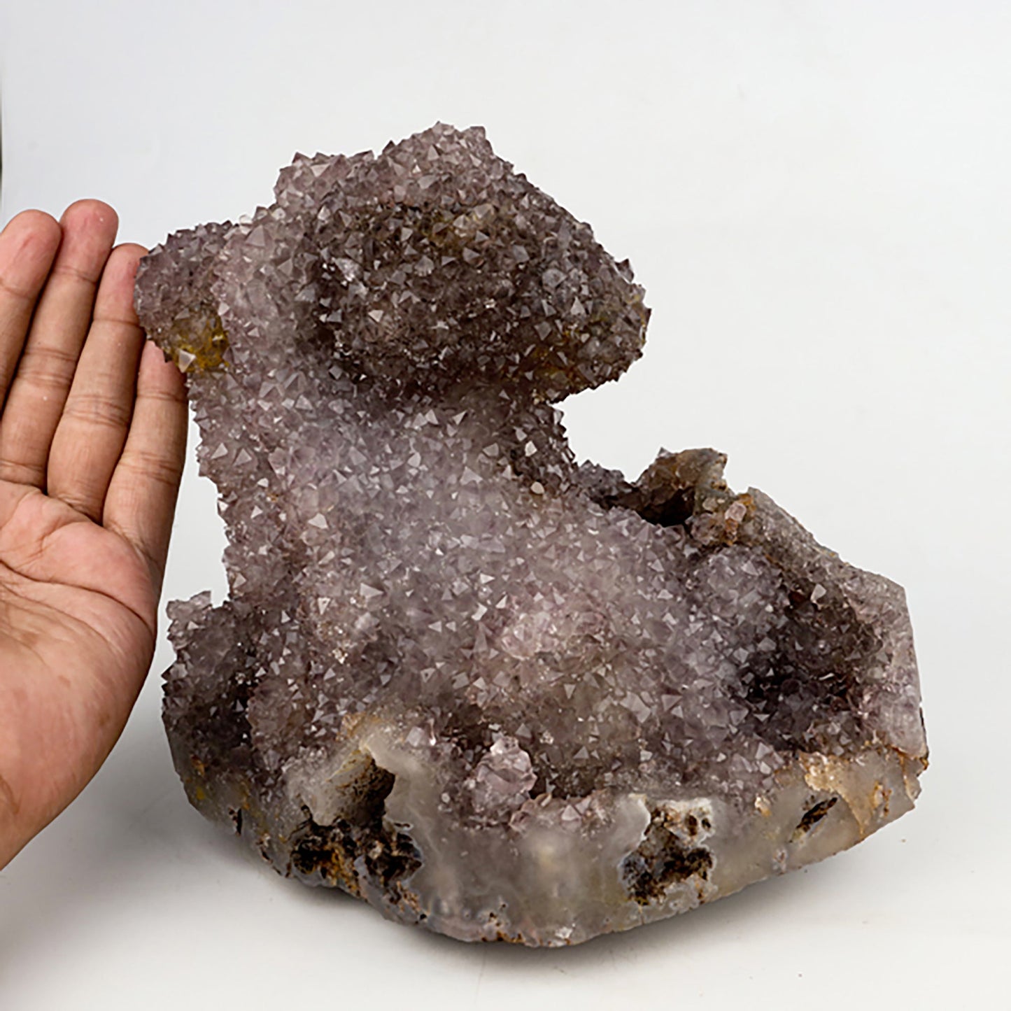 Amethyst Sparkling Cactus Formation Natural Mineral Specimen # B 5395 Amethyst Superb Minerals 