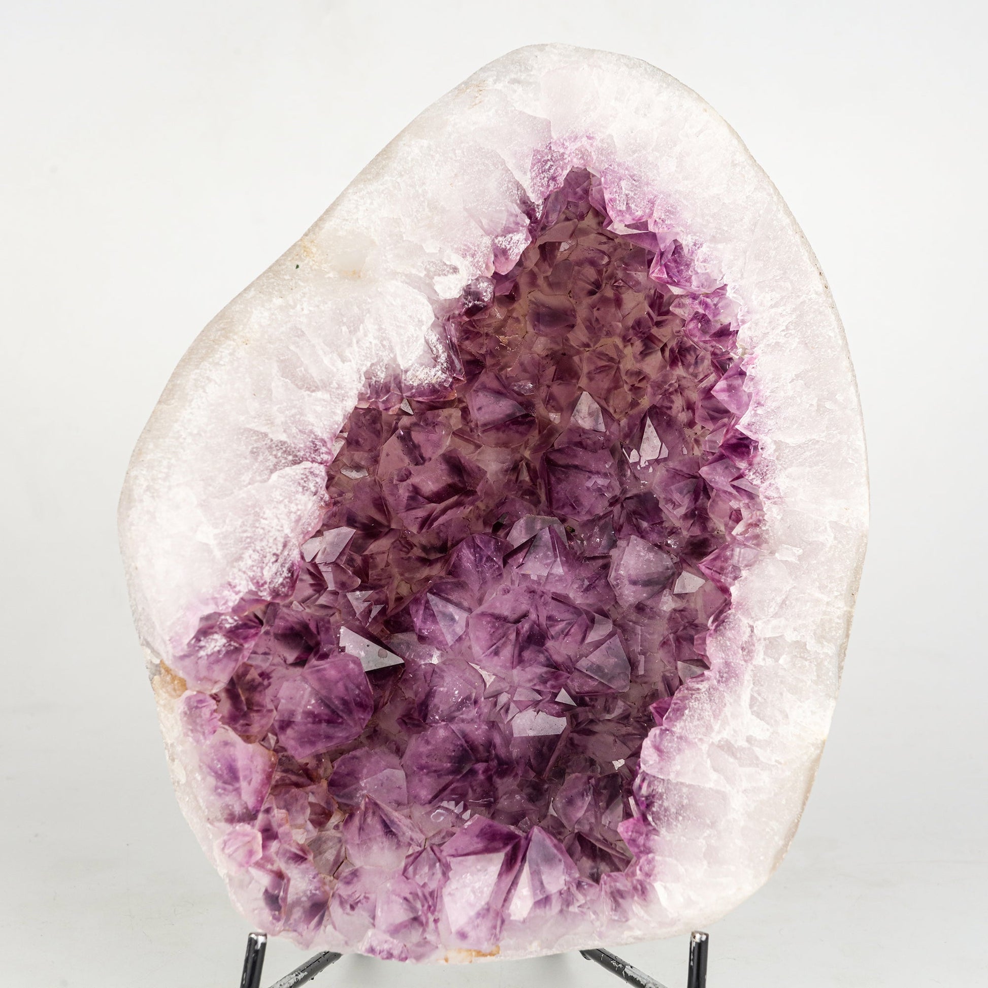 Amethyst Sparkling Crystals Geode in Half Natural Mineral Specimen # B 6241 Amethyst Superb Minerals 