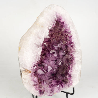 Amethyst Sparkling Crystals Geode in Half Natural Mineral Specimen # B 6241 Amethyst Superb Minerals 