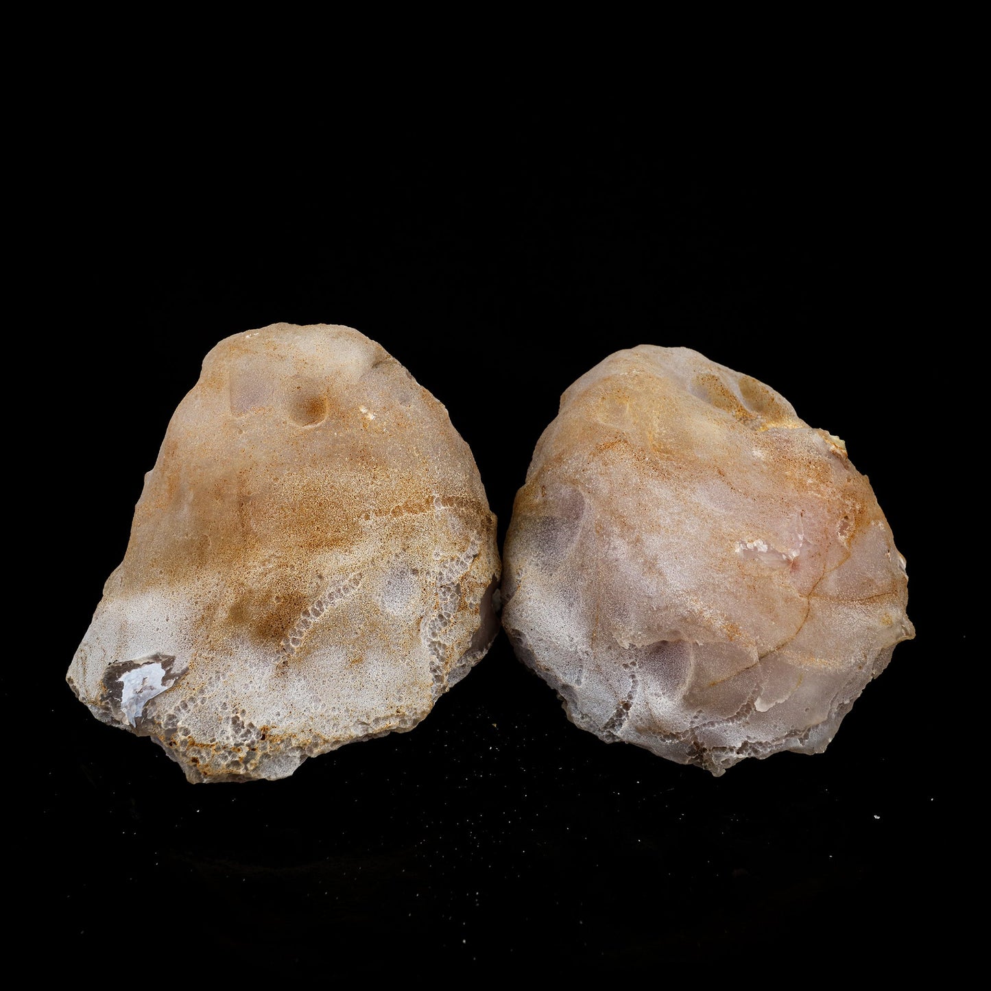 Amethyst Sparkling Crystals Geode in two Half's Natural Mineral Specimen # B 6373 Amethyst Superb Minerals 