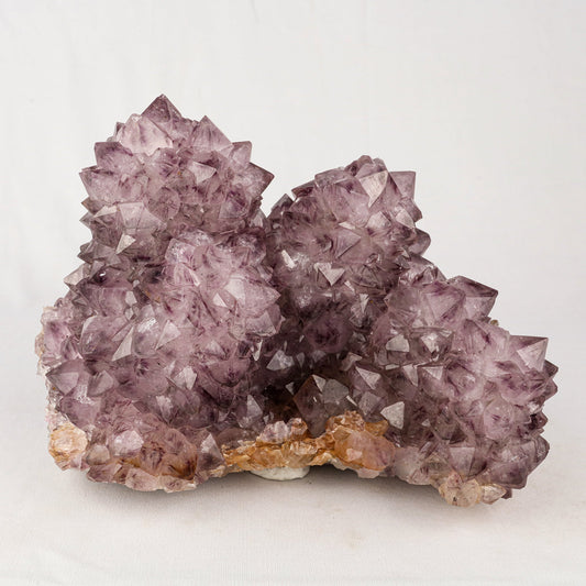 Amethyst Sprakling Crystals Natural Mineral Specimen # B 5538 Amethyst Superb Minerals 