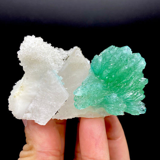 Apophyllite & Calcite DK87 Superb Minerals 