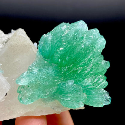Apophyllite & Calcite DK87 Superb Minerals 