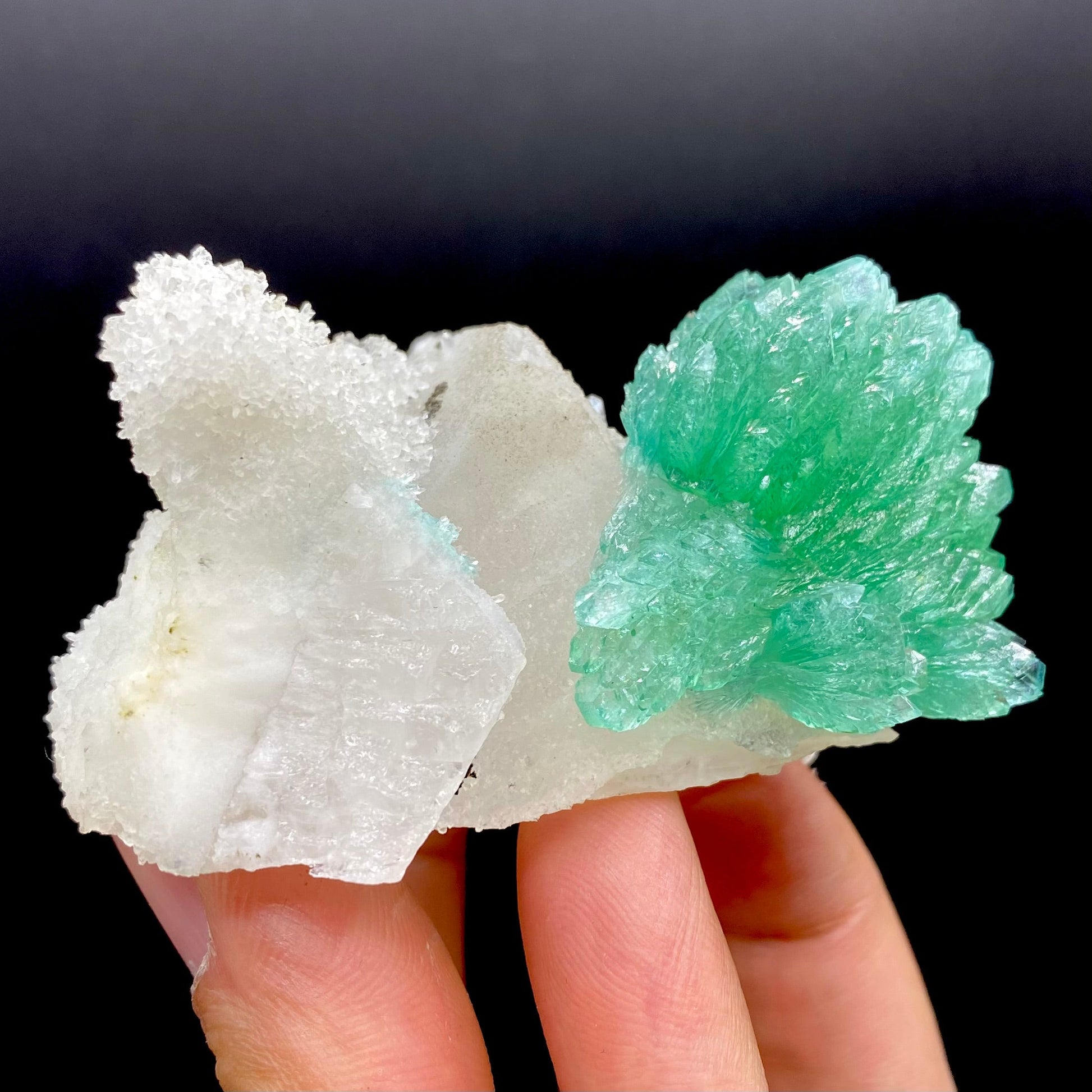 Apophyllite & Calcite DK87 Superb Minerals 
