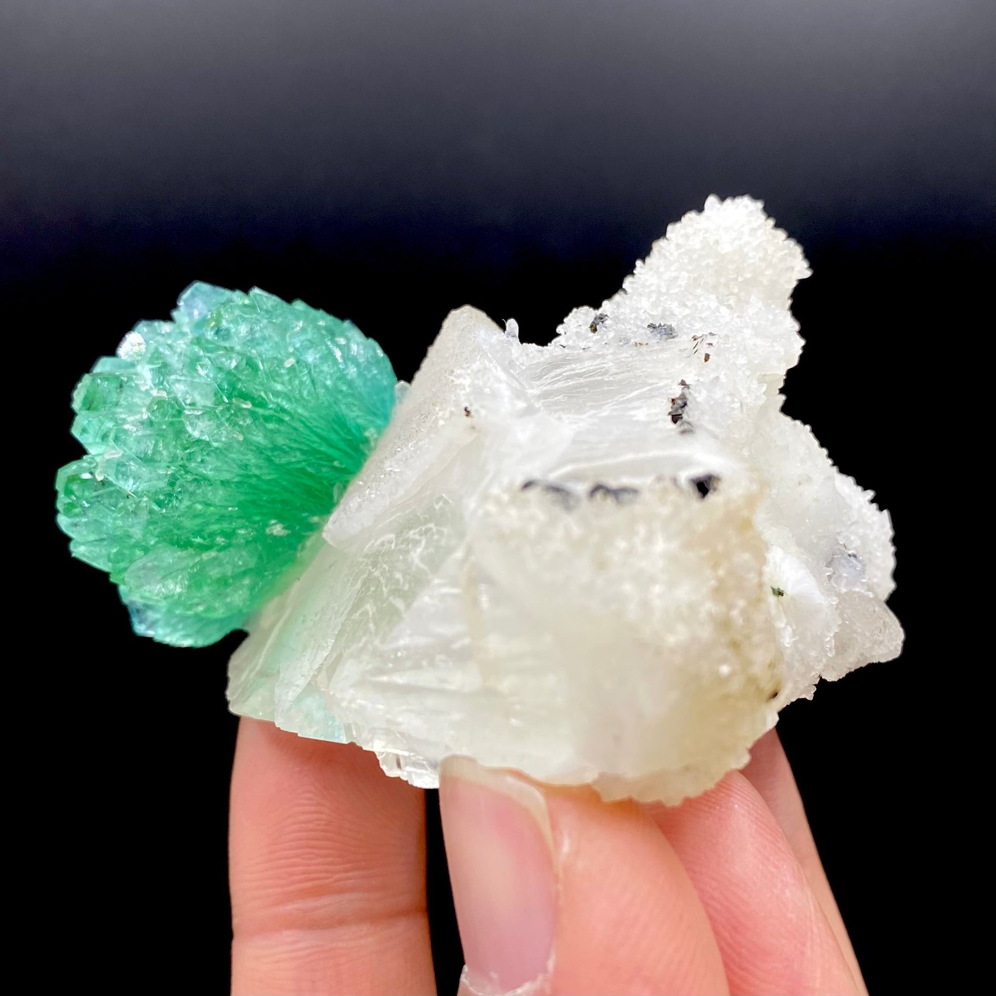 Apophyllite & Calcite DK87 Superb Minerals 