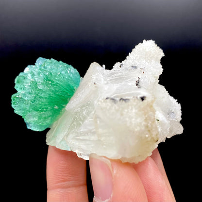 Apophyllite & Calcite DK87 Superb Minerals 