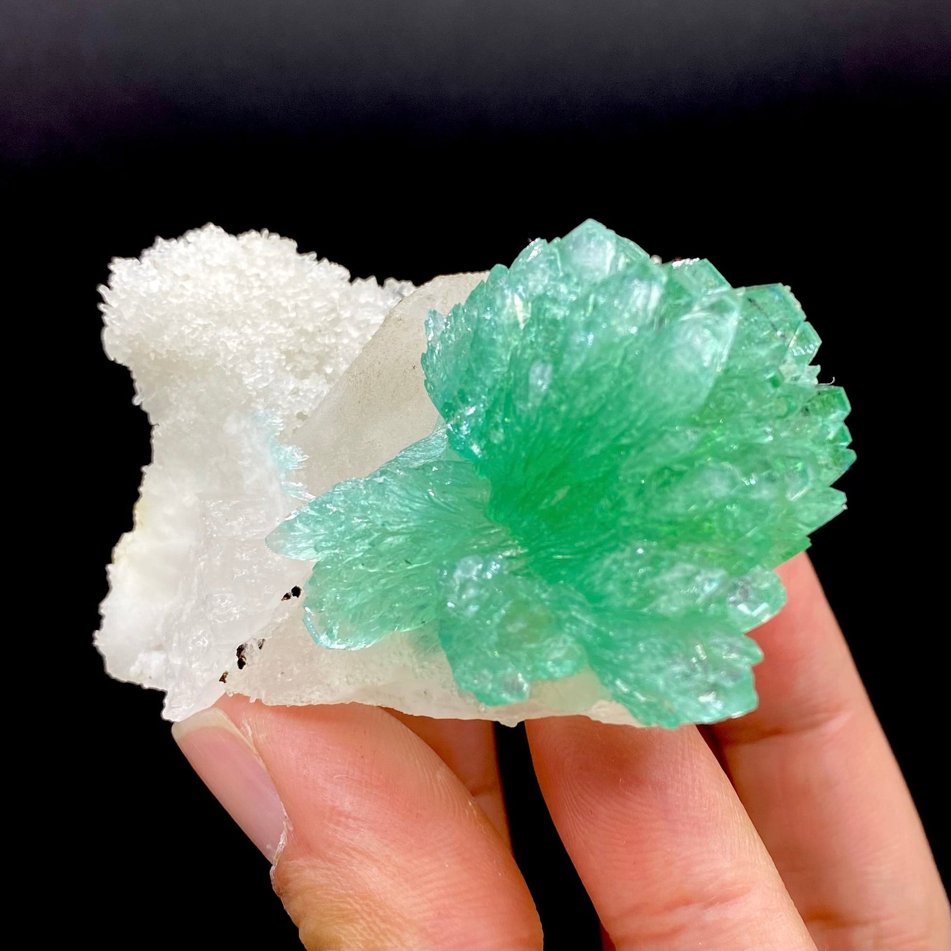 Apophyllite & Calcite DK87 Superb Minerals 