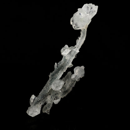 Apophyllite Crystals on Sparkling MM Quartz Stalactite Natural Mineral Specimen # B 6079 Apophyllite Superb Minerals 