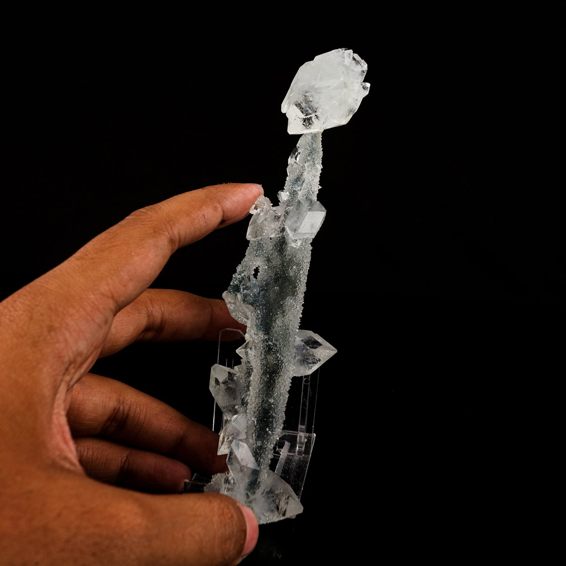 Apophyllite Crystals on Sparkling MM Quartz Stalactite Natural Mineral Specimen # B 6079 Apophyllite Superb Minerals 