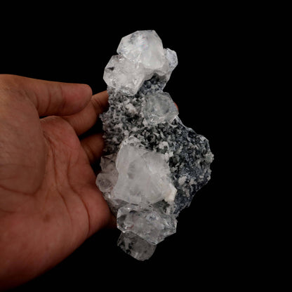 Apophyllite Cubes on Chalacedony Natural Mineral Specimen # B 4954  https://www.superbminerals.us/products/apophyllite-cubes-on-chalacedony-natural-mineral-specimen-b-4954  Features:Beautiful, solitary, crisp, glossy, gemmy, colourless / white crystals of Apophyllite sit elegantly on the underlying matrix.Most of the Apophyllites are fully damage fee, and show such a gorgeous "wet" sheen with a bit of zoning as the centres of the crystals are a bit more opaque than the outer edges,