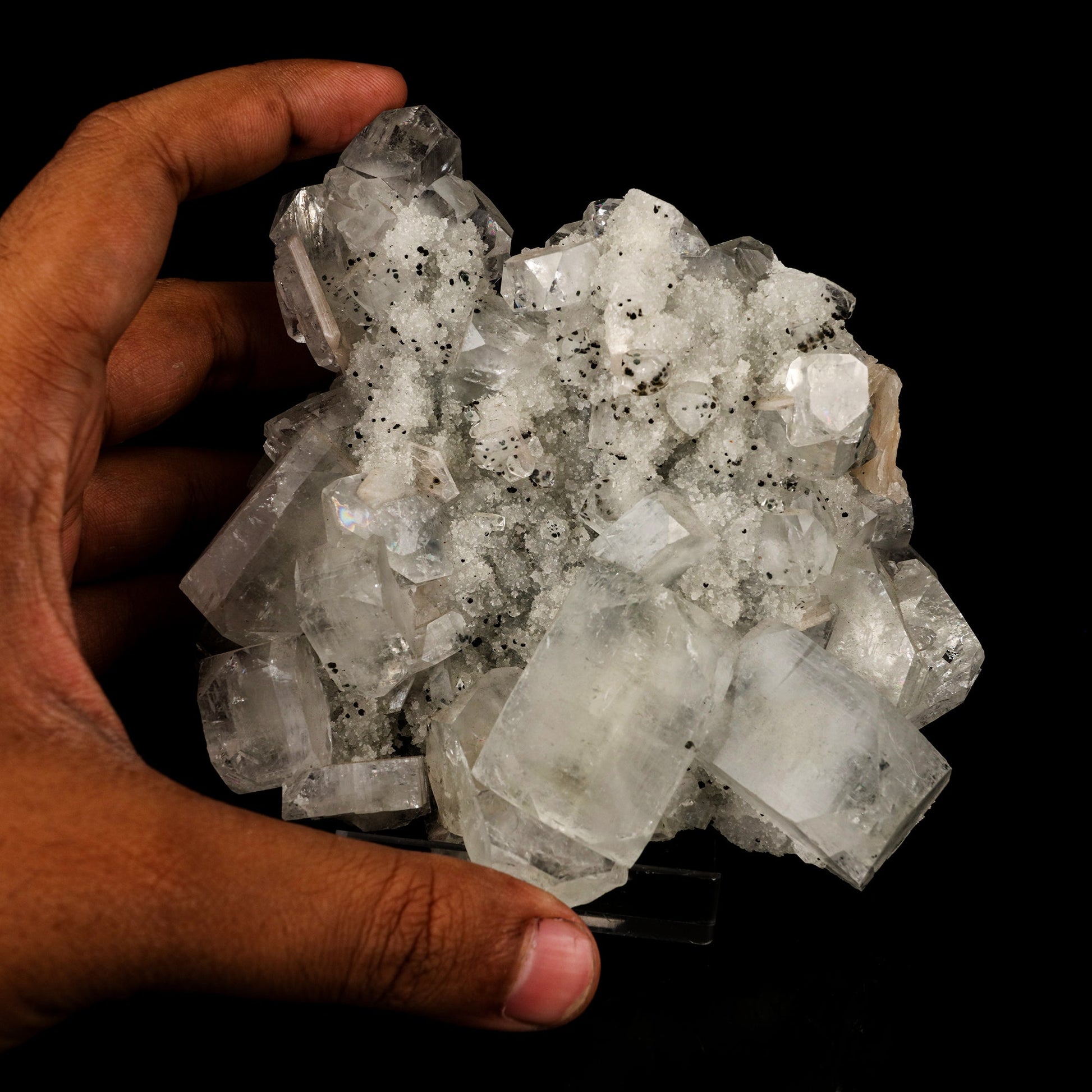 Apophyllite Cubes on Chalcedony Natural Mineral Specimen # B 5758 Scolecite Superb Minerals 