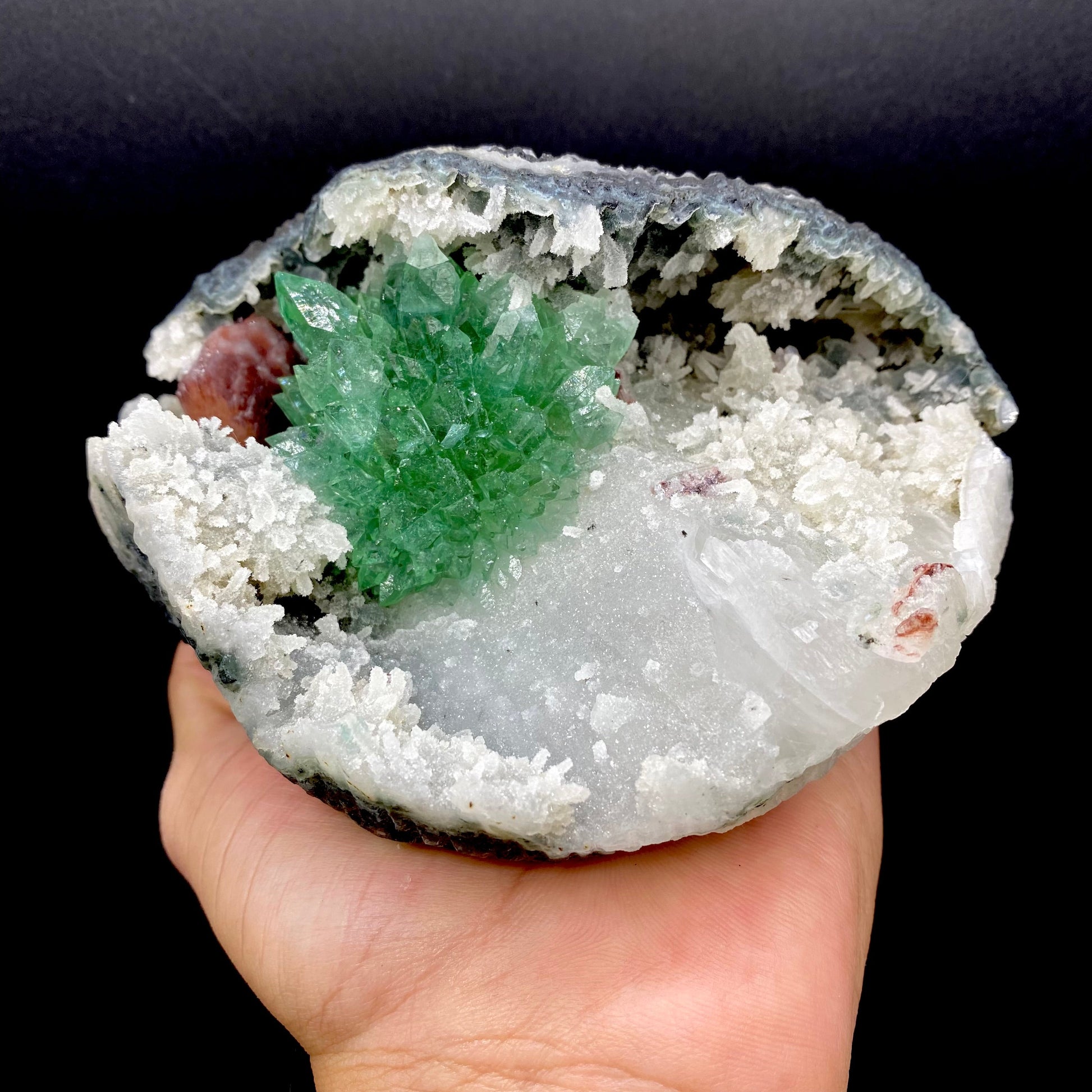 Apophyllite DK103 Superb Minerals 