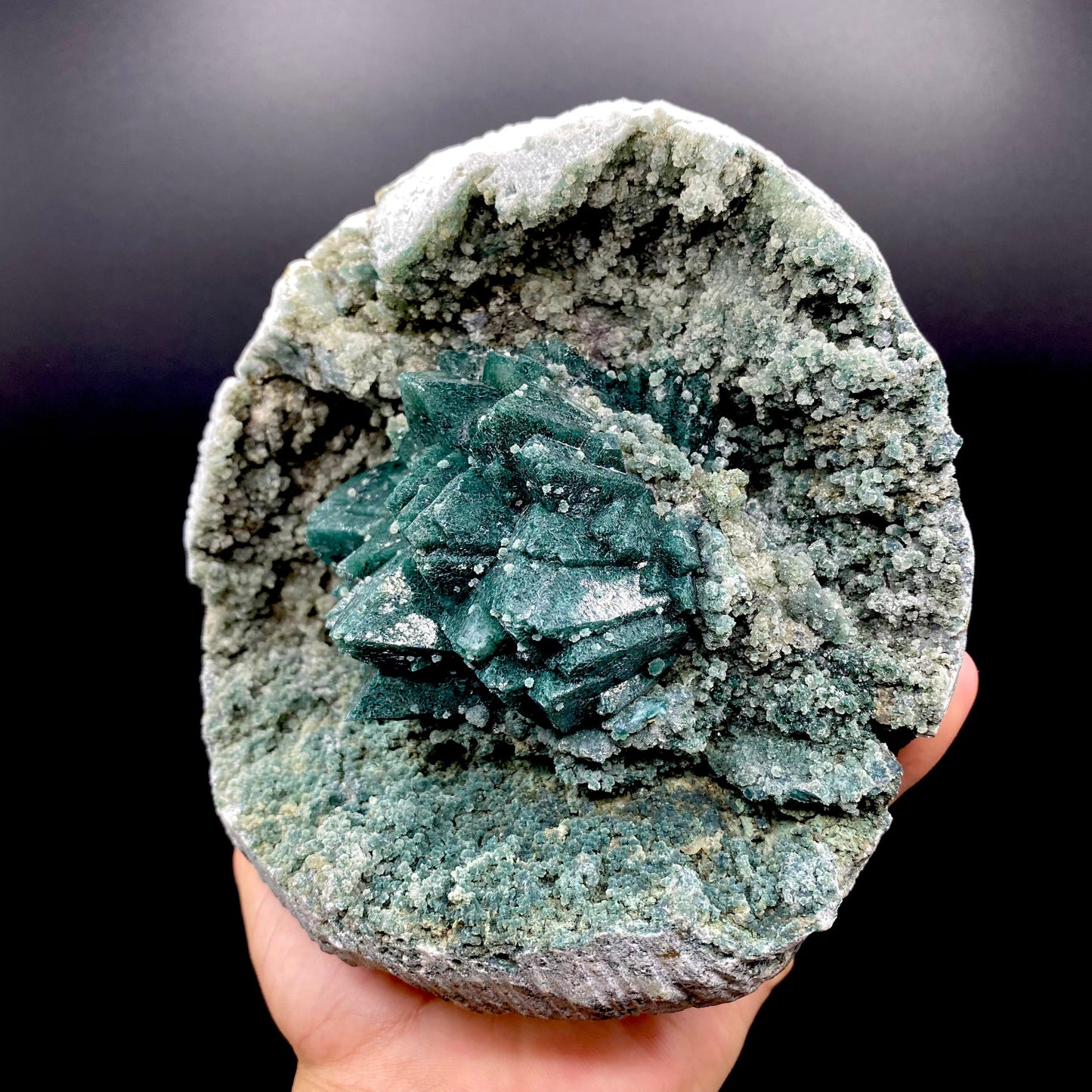 Apophyllite DK131 Superb Minerals 