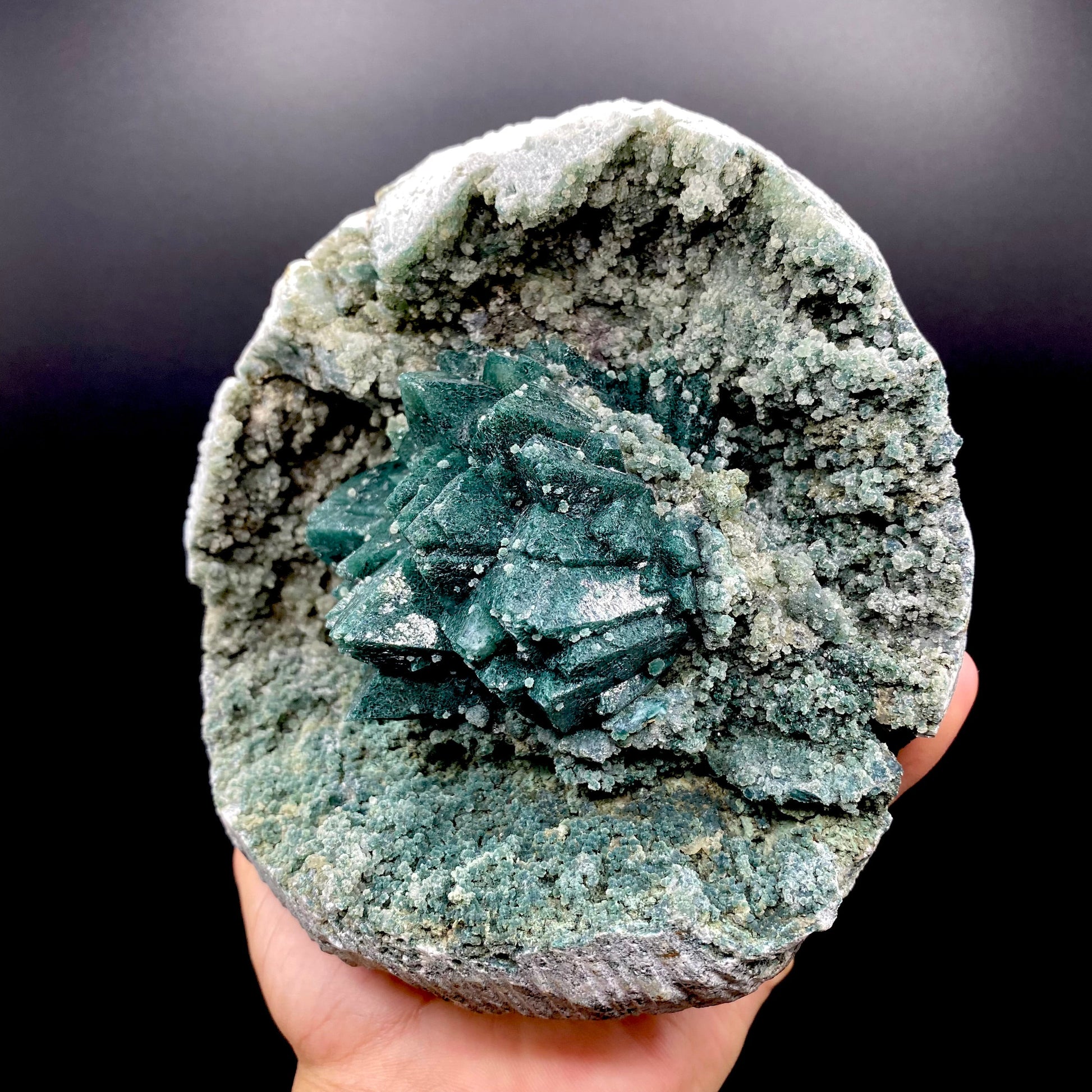 Apophyllite DK131 Superb Minerals 