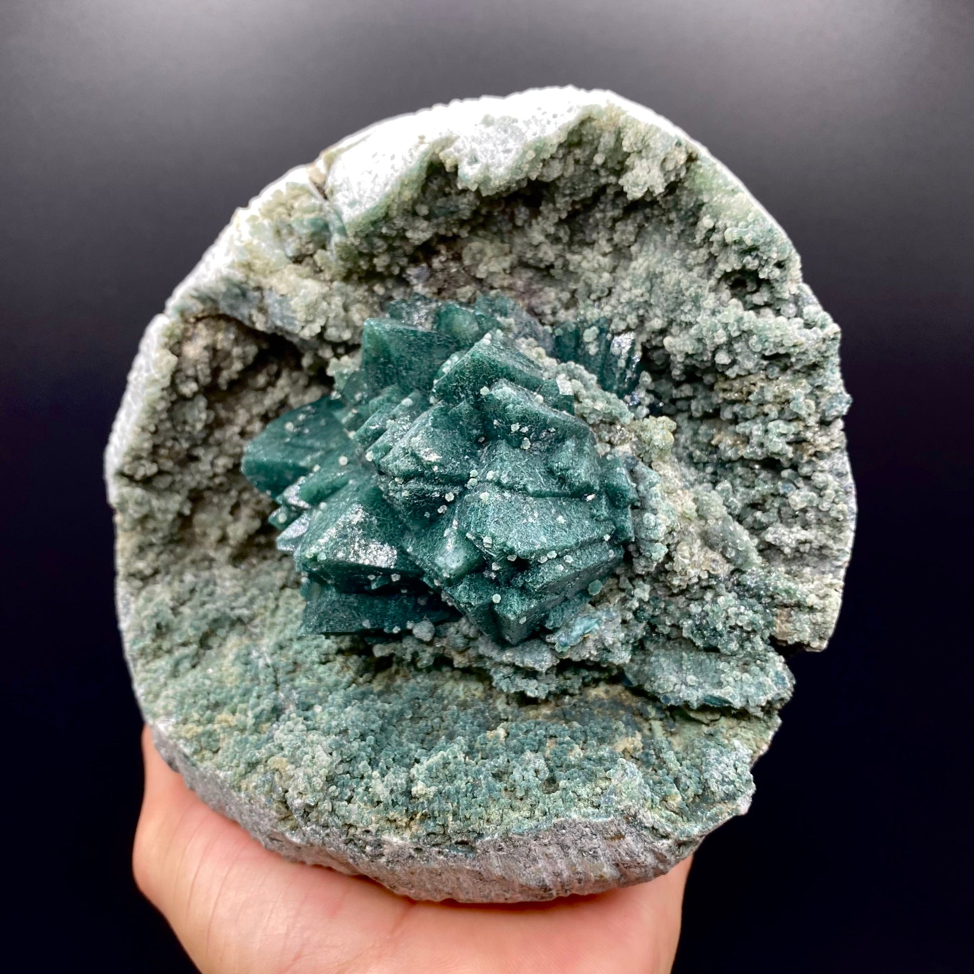 Apophyllite DK131 Superb Minerals 