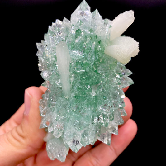 Apophyllite DK134 Superb Minerals 