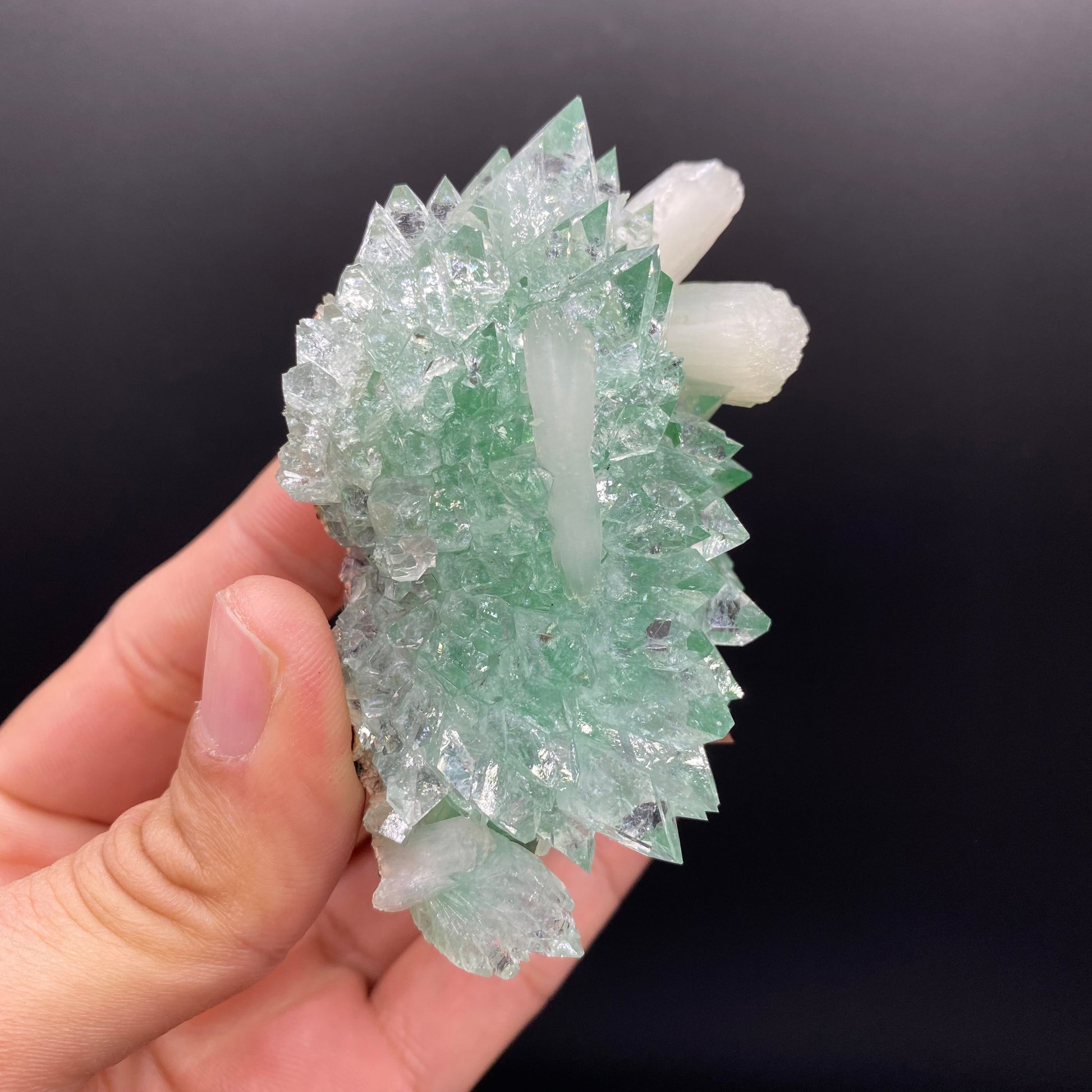Apophyllite DK134 Superb Minerals 