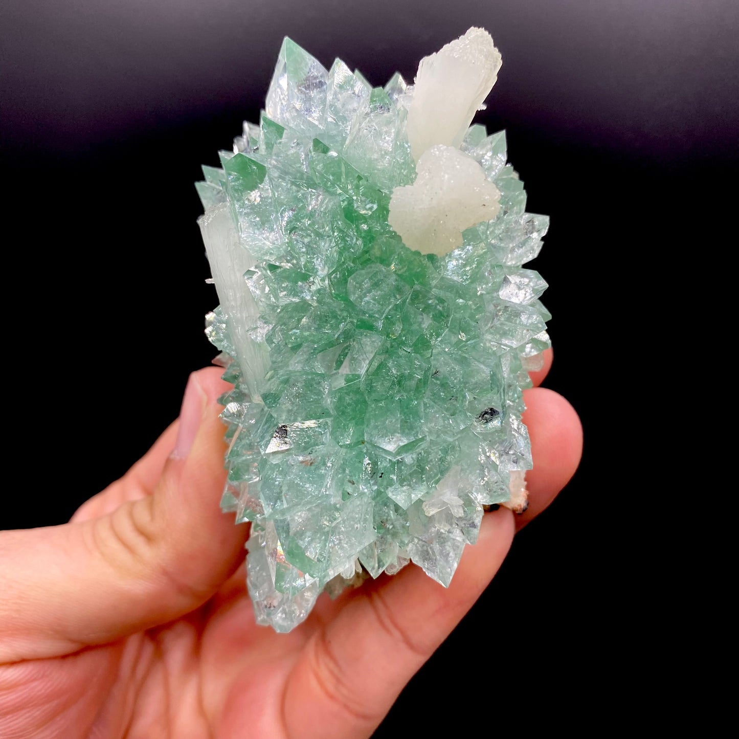 Apophyllite DK134 Superb Minerals 
