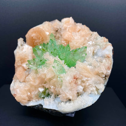 Apophyllite DK82 Superb Minerals 