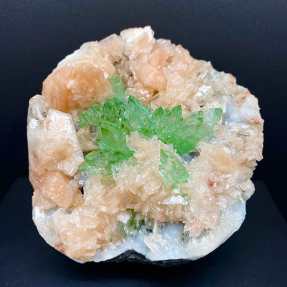 Apophyllite DK82 Superb Minerals 