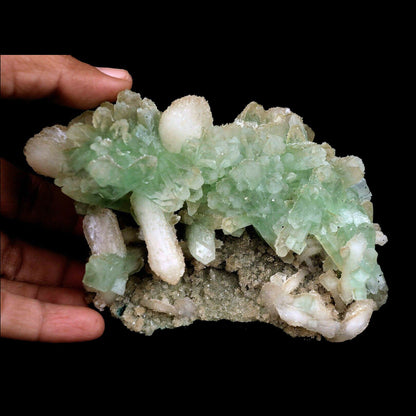 Apophyllite Green Crystal with Stilbite Natural Mineral Specimen # B 3571 https://www.superbminerals.us/products/apophyllite-green-crystal-with-stilbite-natural-mineral-specimen-b-3571 An extremely stylish piece that that is covered with light green Apophyllite precious stones. Set among the Apophyllite gems are various Stilbite gems, a few having a "tie" precious stone development. The silvery shine of this piece is extraordinary. You will see some uncovered lattice of beige-shaded microcry