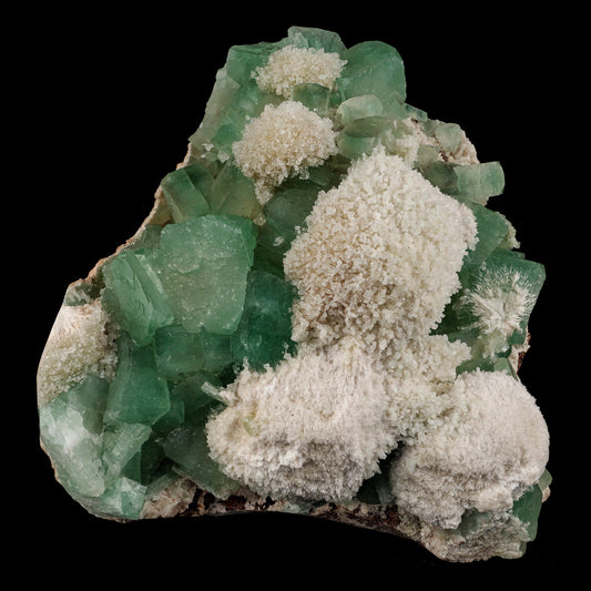 Apophyllite Green Cube with Mordenite Free Standing Natural Mineral Specimen # B 6054 Apophyllite Superb Minerals 