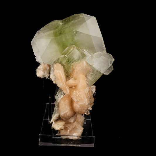 Apophyllite green cube with Stilbite Natural Mineral Specimen # B 5890 Apophyllite Superb Minerals 