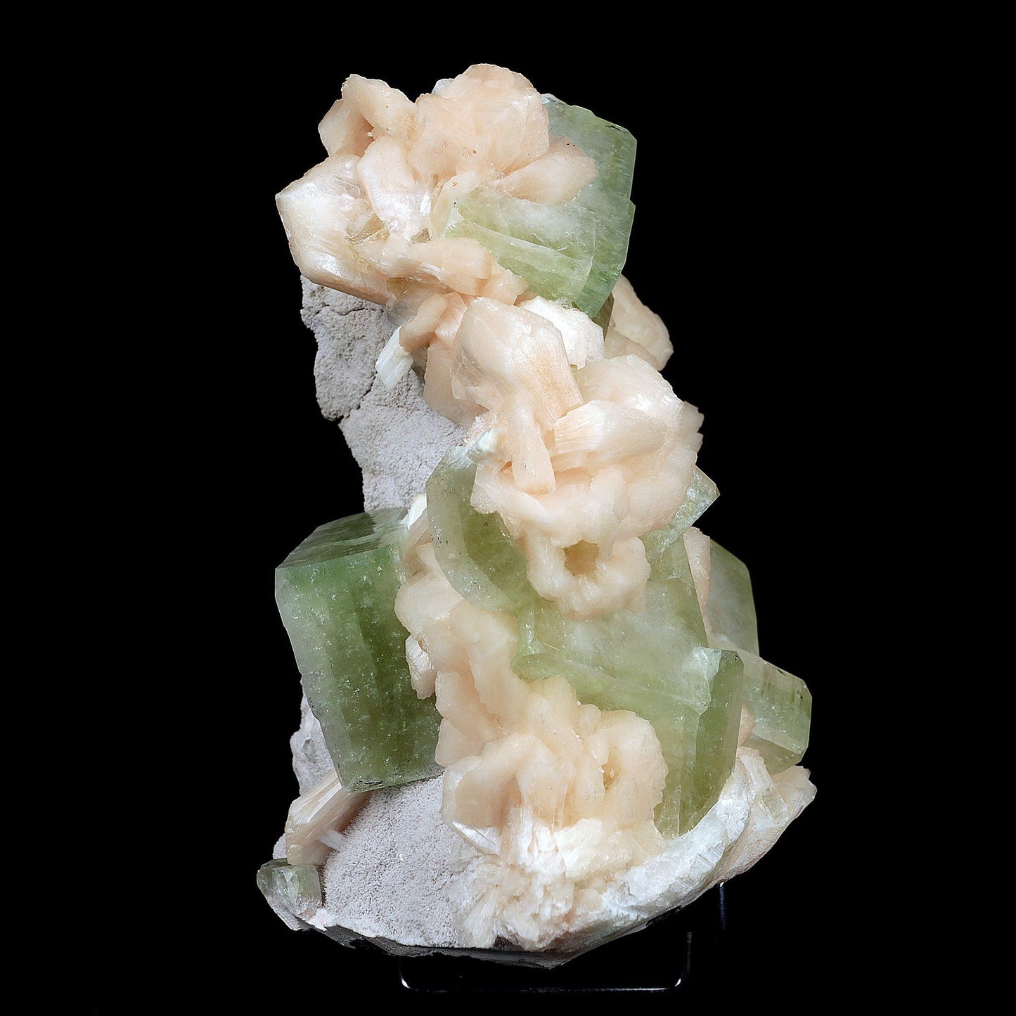 Apophyllite Green Cubes with Stilbite Natural Mineral Specimen # B 371…  https://www.superbminerals.us/products/apophyllite-green-cubes-with-stilbite-natural-mineral-specimen-b-3718  Features:A very aesthetic piece featuring a matrix densely coated with miniature, beige Stilbite crystals with a cluster of lustrous, larger light-beige Stilbite crystals at the base, all hosting a crown of transparent, mint-green Apophyllite pseudocubic (rectangular) crystals. Great contrast, color, symmetry and luste