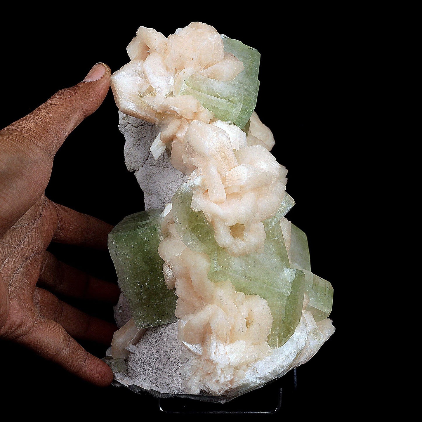 Apophyllite Green Cubes with Stilbite Natural Mineral Specimen # B 371…  https://www.superbminerals.us/products/apophyllite-green-cubes-with-stilbite-natural-mineral-specimen-b-3718  Features:A very aesthetic piece featuring a matrix densely coated with miniature, beige Stilbite crystals with a cluster of lustrous, larger light-beige Stilbite crystals at the base, all hosting a crown of transparent, mint-green Apophyllite pseudocubic (rectangular) crystals. Great contrast, color, symmetry and luste