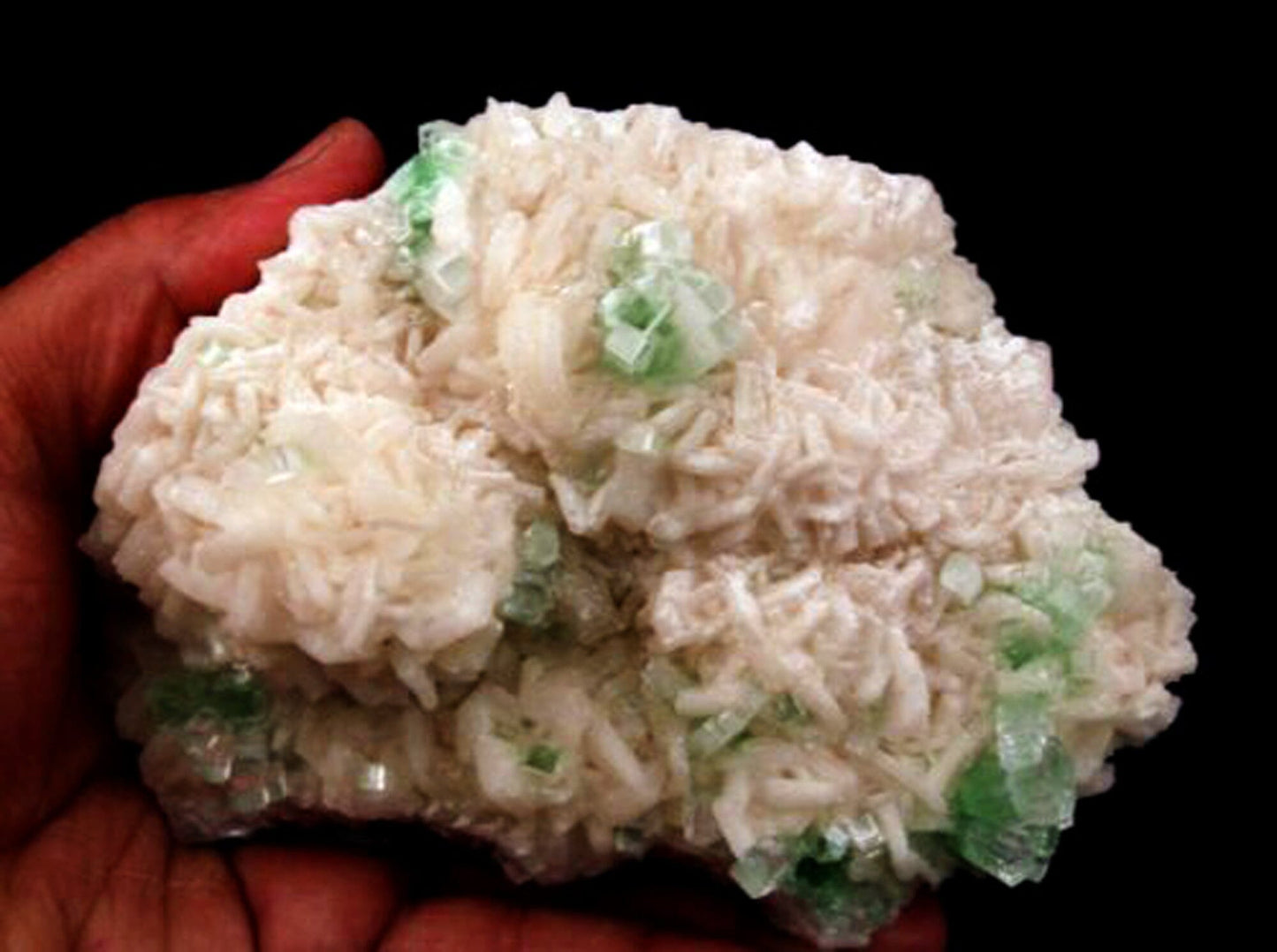 Apophyllite green disco formation on Stilbite Natural Mineral Specimen # B 1625 Apophyllite Superb Minerals 