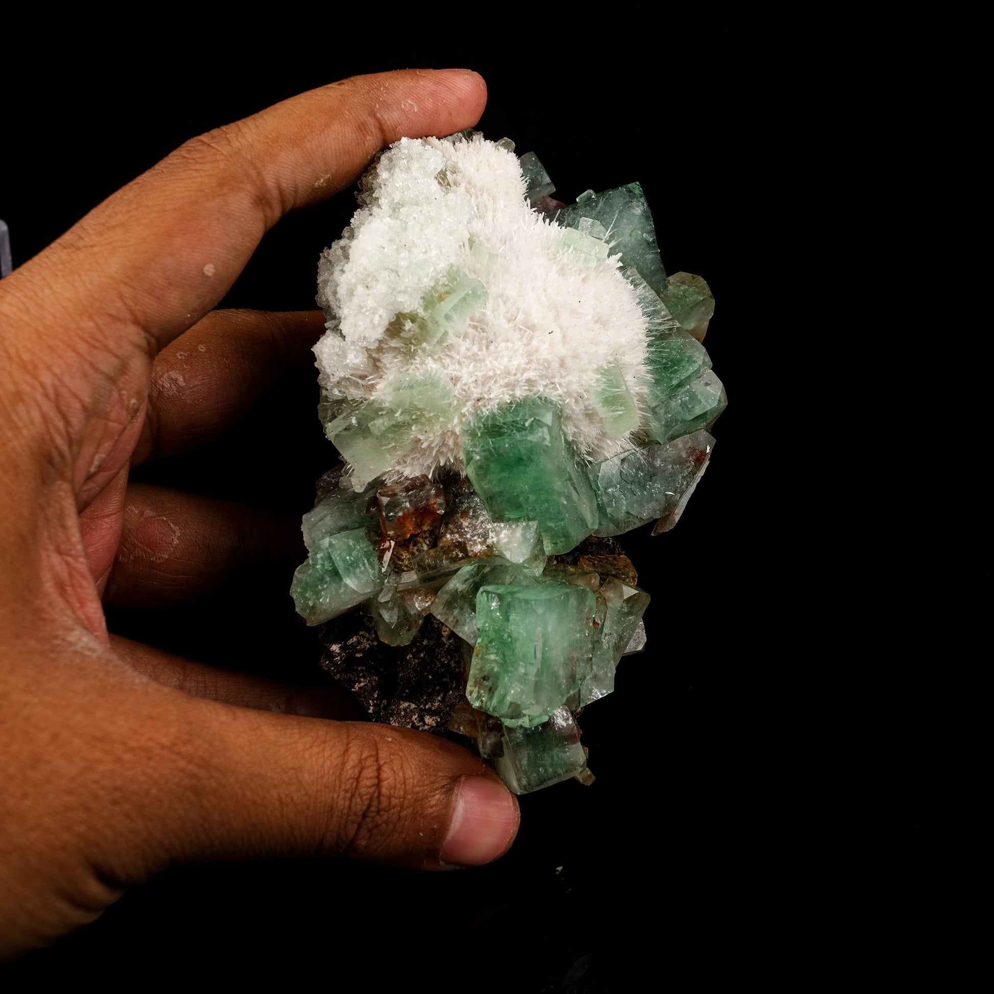 Apophyllite green with Mordenite Natural Mineral Specimen # B 5593 Superb Minerals 