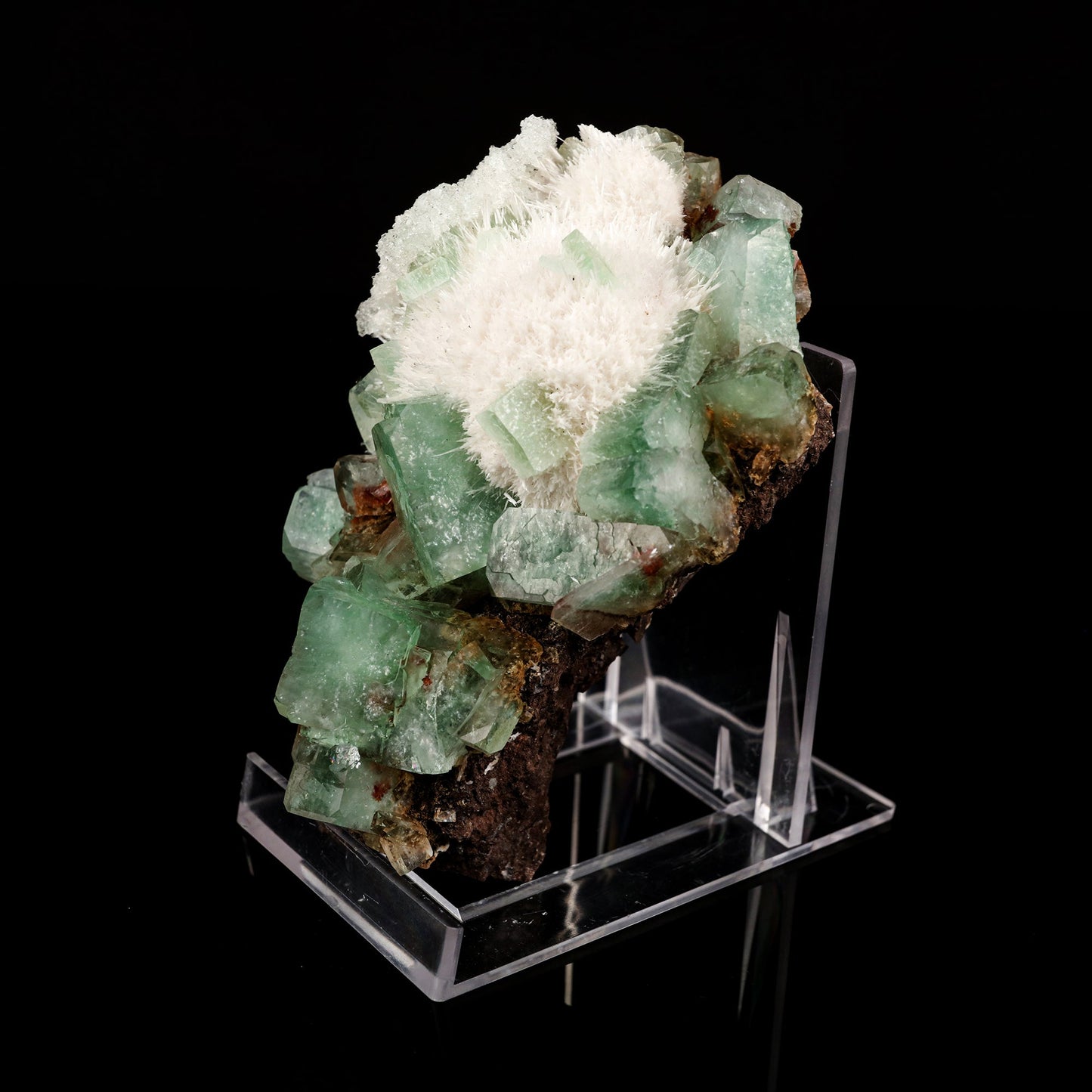 Apophyllite green with Mordenite Natural Mineral Specimen # B 5593 Superb Minerals 