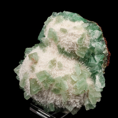 Apophyllite Green with Mordenite Natural Mineral Specimen # B 5660 Apophyllite & Mordenite Superb Minerals 