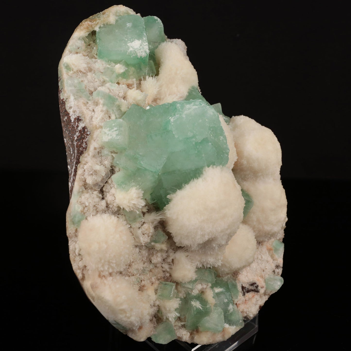 Apophyllite Green with Mordenite Natural Mineral Specimen # B 5959 Apophyllite Superb Minerals 