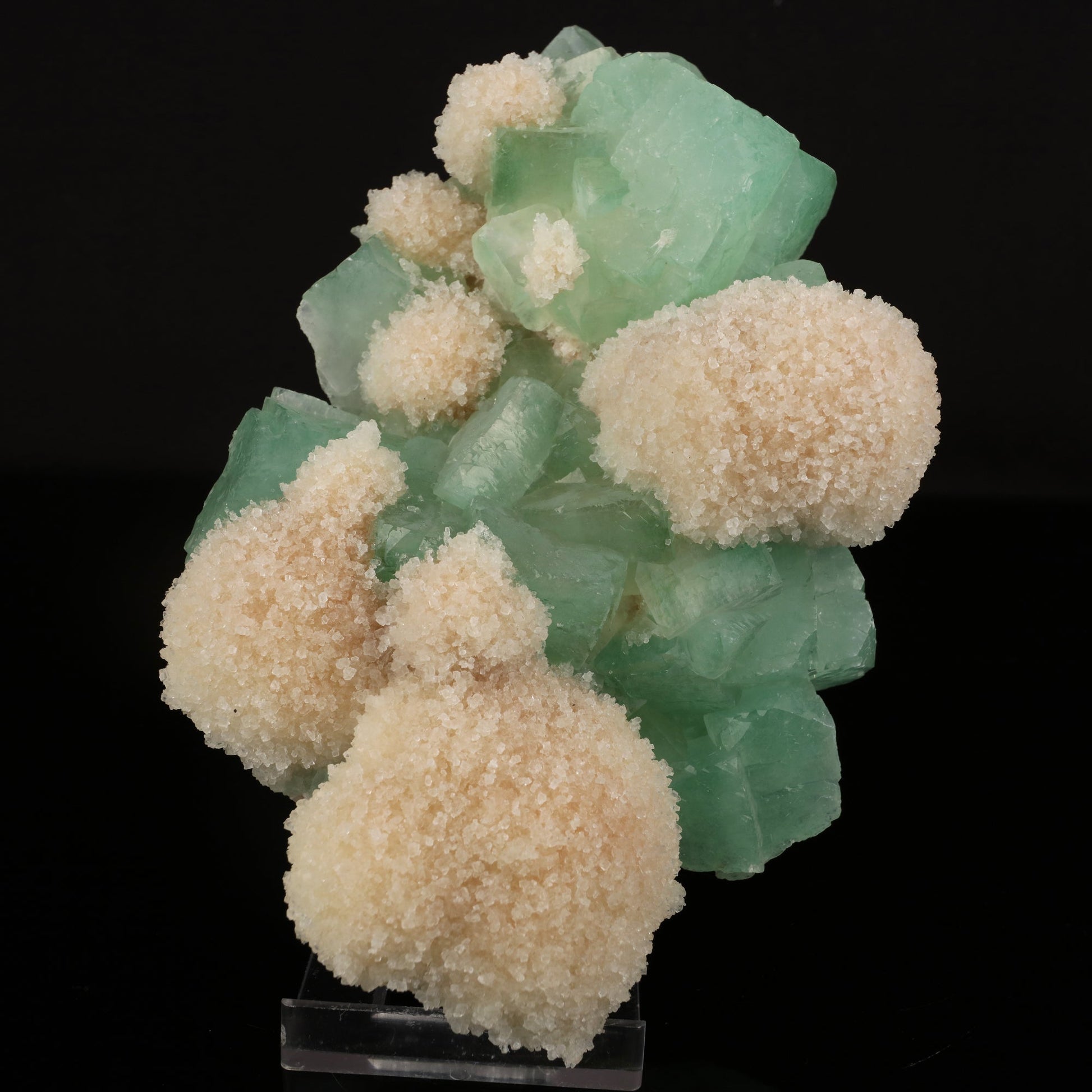 Apophyllite Green with Mordenite Natural Mineral Specimen # B 5964 Apophyllite Superb Minerals 