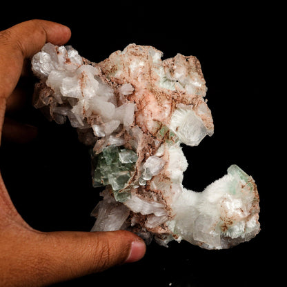 Apophyllite Green with Mordenite Natural Mineral Specimen # B 6537 Apophyllite Superb Minerals 