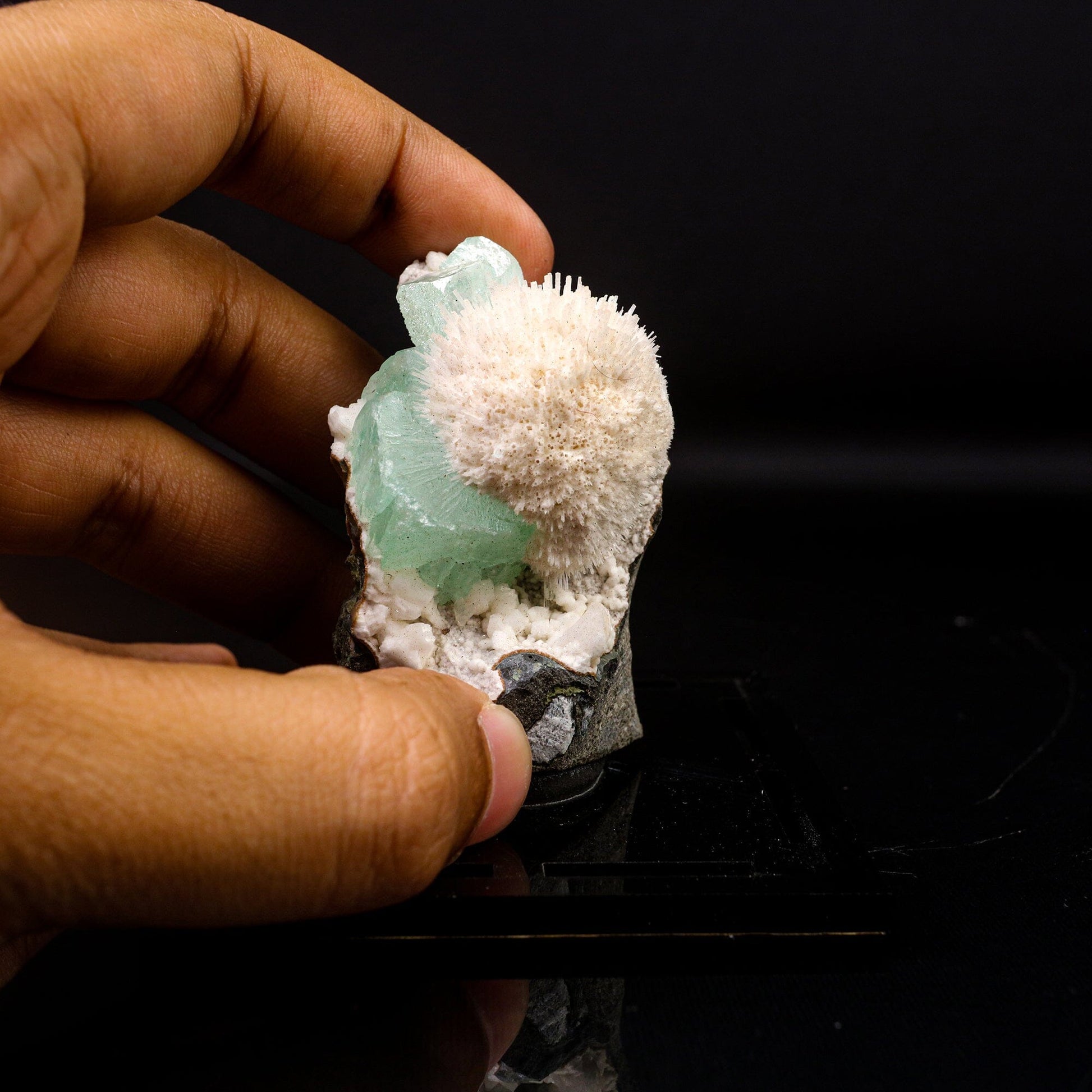 Apophyllite green with Mordenite Natural Mineral Specimen # B 6720 Apophyllite Superb Minerals 