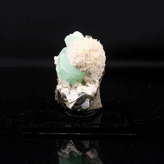 Apophyllite green with Mordenite Natural Mineral Specimen # B 6720 Apophyllite Superb Minerals 