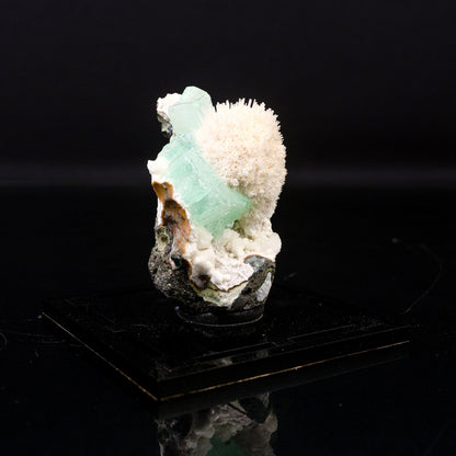 Apophyllite green with Mordenite Natural Mineral Specimen # B 6720 Apophyllite Superb Minerals 