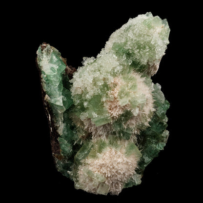Apophyllite Green with Mordenite Self Standing Natural Mineral Specimen # B 5696 Apophyllite & Mordenite Superb Minerals 
